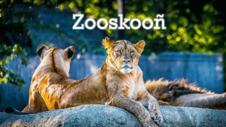 Zooskooñ: Mysterious Term and Its Cultural Significance